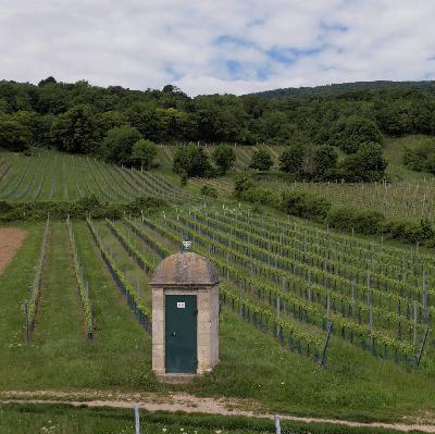 Wiener Wasser Wiener Wasser