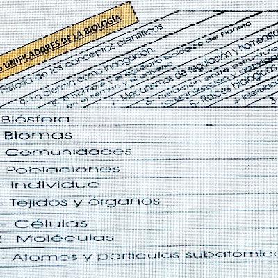 Enfoques de la Ecología