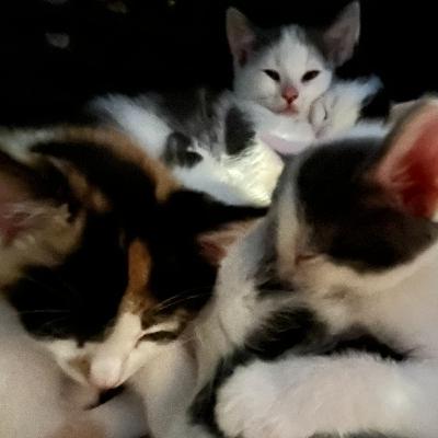 Let Things Be Let Things Be