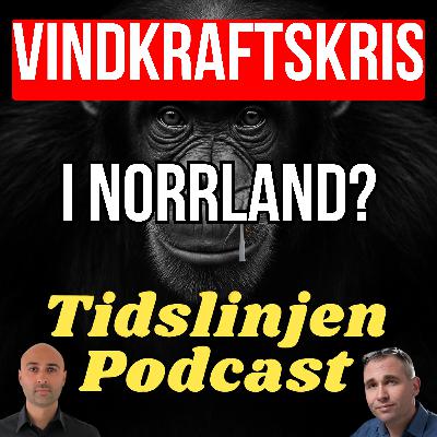 Vindkraftskris i Norrland – överproduktion, minuspriser och konkurshot