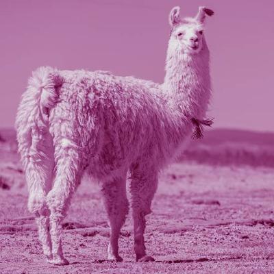 למה ככה? ככה למה?