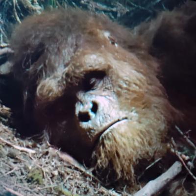 Grand Canyon's Forbidden Zones: Ranger Exposes 114 Year Cover up