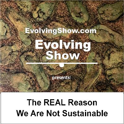 The Real Reason We Are Not Sustainable