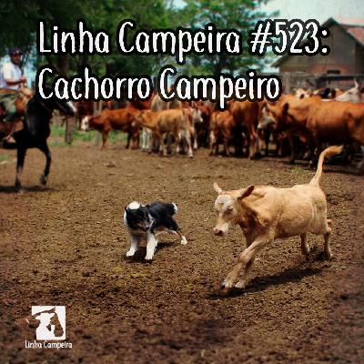 Episódio #523 - Cachorro Campeiro