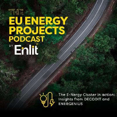 The E-Nergy Cluster in action: Insights from DECODIT and ENERGENIUS