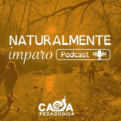 La biblioteca di Casa Pedagogica | "Pedagogia del bosco"