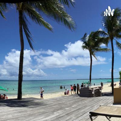 Perejil planta medicinal limpia riñones y ayuda adelgazar.