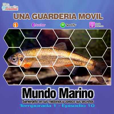 UNA NURSERY (GUARDERIA) MOVIL