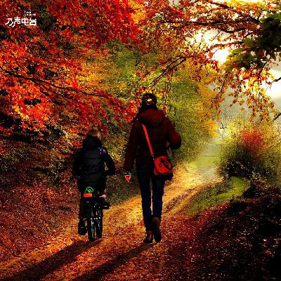 母女关系的小样本人间观察 母女关系的小样本人间观察