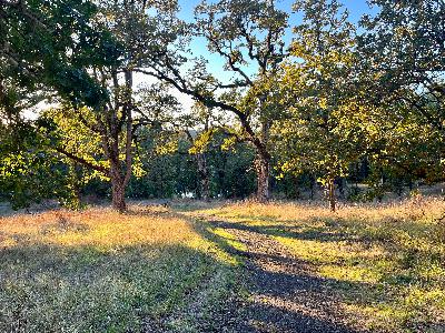 24 - Harvest 24 - Harvest