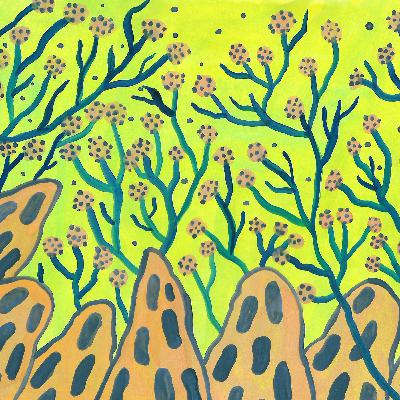 Hablando desde adentro: Paula Sosa Holt (Ilustradora)