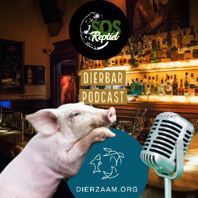 Ep 26: Dierbar en Dierzaam!