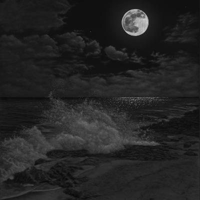 Poema desde un caracol - Gabriel García Márquez. Poema desde un caracol - Gabriel García Márquez.