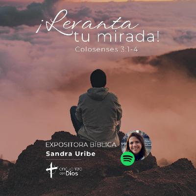 ¡Levanta tu mirada! - Colosenses 3:1-4. Expositora bíblica: Sandra Uribe ¡Levanta tu mirada! - Colosenses 3:1-4. Expositora bíblica: Sandra Uribe