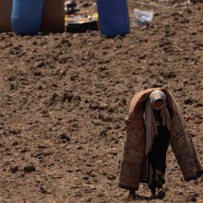 In My Country  |  Miream Salameh