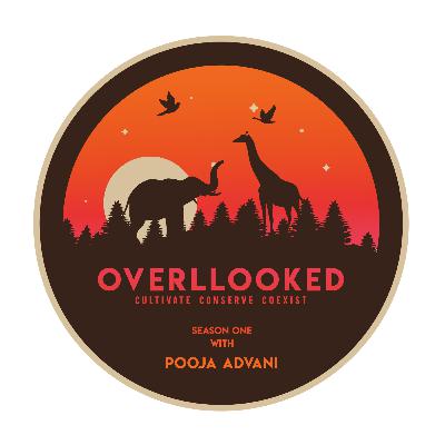 EP.6 | Akshay Gupta on running the biggest pet festival | Overllooked with Pooja Advani