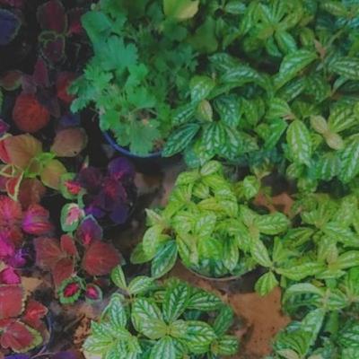 قسمتی از فصل ٣٩