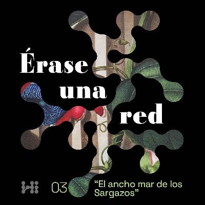 Érase una red | Episodio 2: El ancho mar de los sargazos Érase una red | Episodio 2: El ancho mar de los sargazos