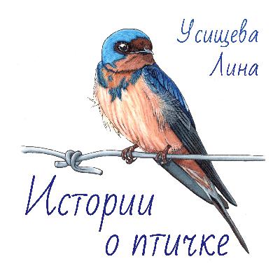 Как ласточку поддержали ее друзья