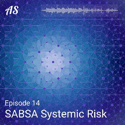 #14 Is Vertical Systemic Risk a One-Way Street?