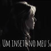 Os Diários Esquecidos - Histórias de Terror