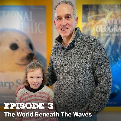 03 » The World Beneath The Waves (with Brian Skerry) 03 » The World Beneath The Waves (with Brian Skerry)