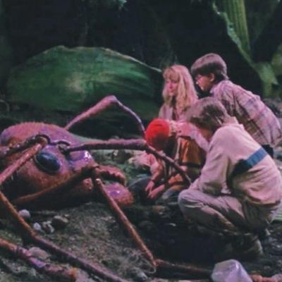 HONEY I SHRUNK THE KIDS (or, Neon Genesis Weevangelion)