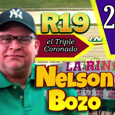 👉 3 Fijos + 5y6 GRATIS #LaRinconada 24/May/25 | R19 | Nelson Bozo "el Triple Coronado del Hipismo" 🏇🏆