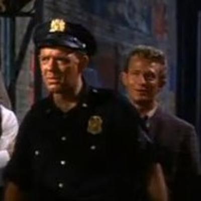 General dog rescue thoughts. General dog rescue thoughts.