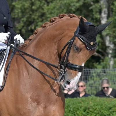 39 - The Whistleblower