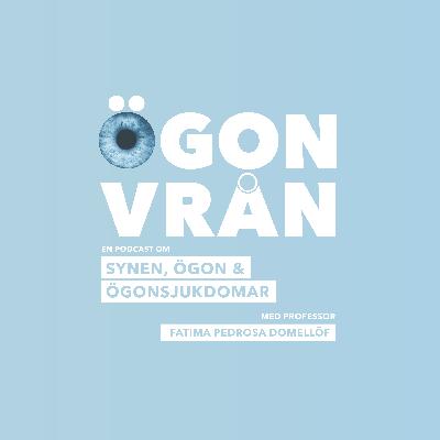 Avsnitt 42: Lite nyheter