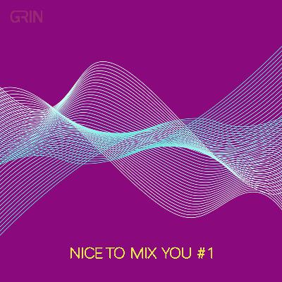 GRIN - Nice To Mix You #1