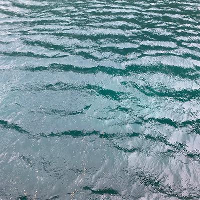Bonus Episode: Full Conversation with Kathryn Carovano from Kachemak Kelp