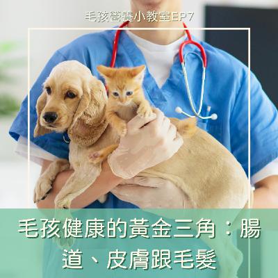EP7. 毛孩健康的黃金三角：腸道、皮膚跟毛髮