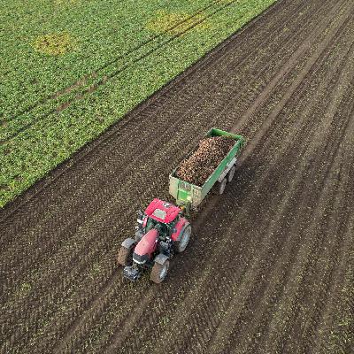 Prof. Balmann beleuchtet wirtschaftliche Herausforderungen und Chancen der Landwirtschaft