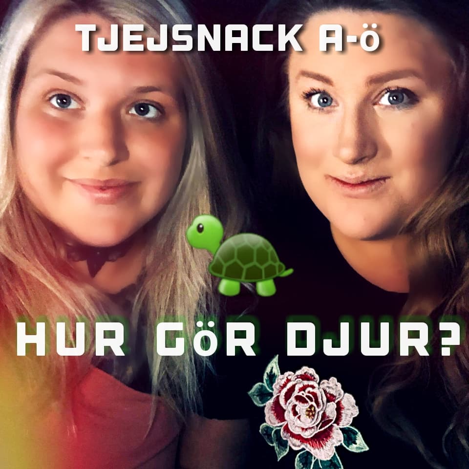 Tjejsnack A-Ö