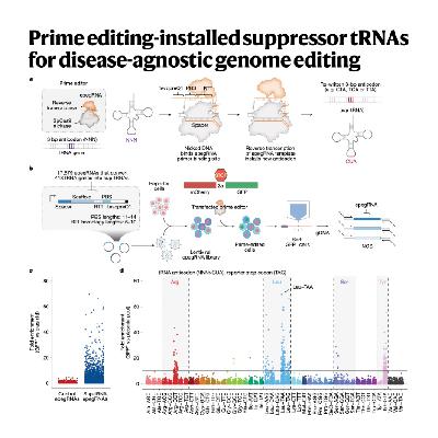 292-PERT for Disease-Agnostic Nonsense Mutation Readthrough 292-PERT for Disease-Agnostic Nonsense Mutation Readthrough