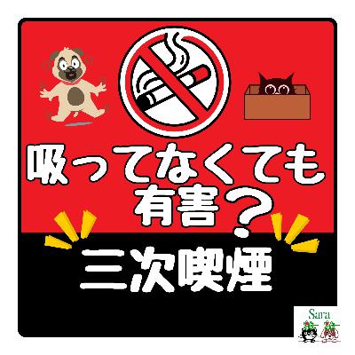 #1036. タバコの三次喫煙：吸ってなくても有害❓米国FDAからの情報