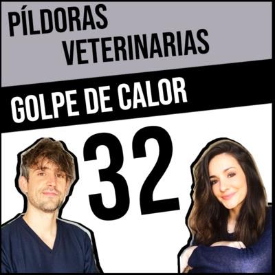 32. Golpe de calor en perros
