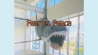 FEAR vs. PEACE