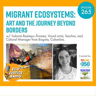 Migrant Ecosystems: Art and the Journey Beyond Borders