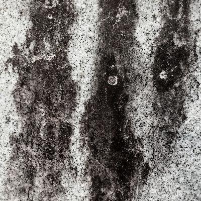 Shadows by LN Hunter