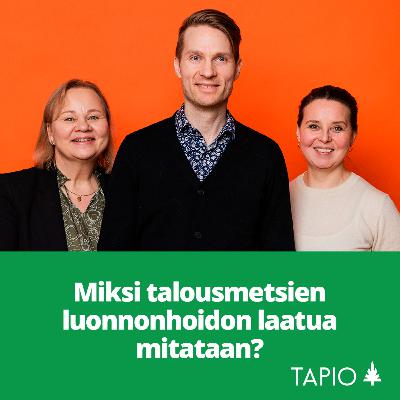 Miksi talousmetsien luonnonhoidon laatua mitataan?