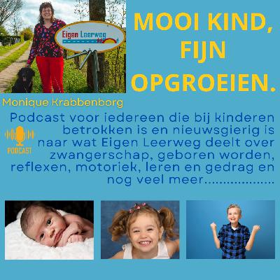 In gesprek met Colind Fierlier van Baby Business School deel 2