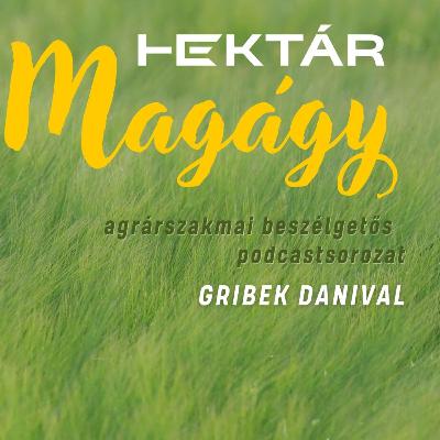 Karbonprogramok és no-till gazdaszemmel | Mennyit fizetnek, hogyan ellenőriznek és megéri-e? Karbonprogramok és no-till gazdaszemmel | Mennyit fizetnek, hogyan ellenőriznek és megéri-e?