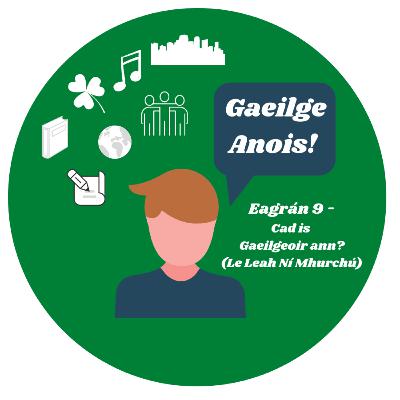 Cad is Gaeilgeoir ann? (Le Leah Ní Mhurchú)