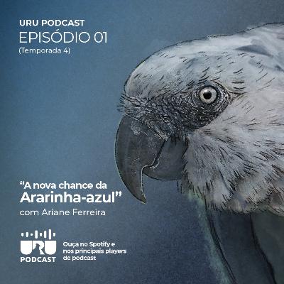 #043 - A nova chance da Ararinha-azul