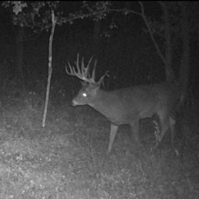 #125: Antelope and Waterfowl Recap and Deer Season Outlook