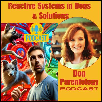 Reactive Systems, Reactive Dog & Solutions