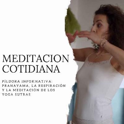 Píldora Informativa: Pranayama, la respiración y la meditación de los Yoga Sutras